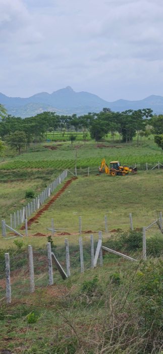 Living fence perimeter pits being dug with hills in the background