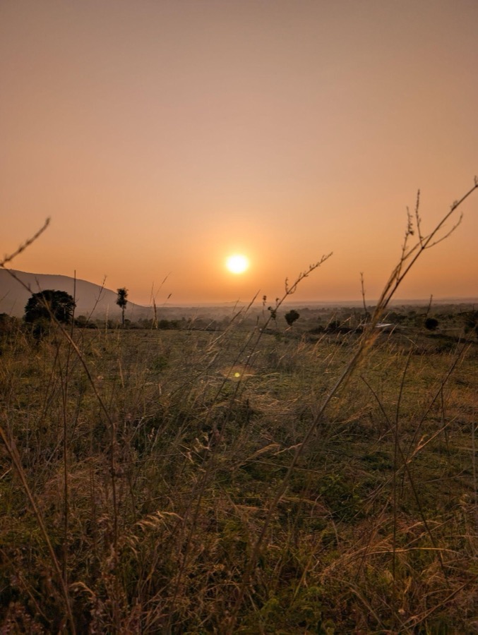 Hazy golden sunset over the grass fields at Samanvaya