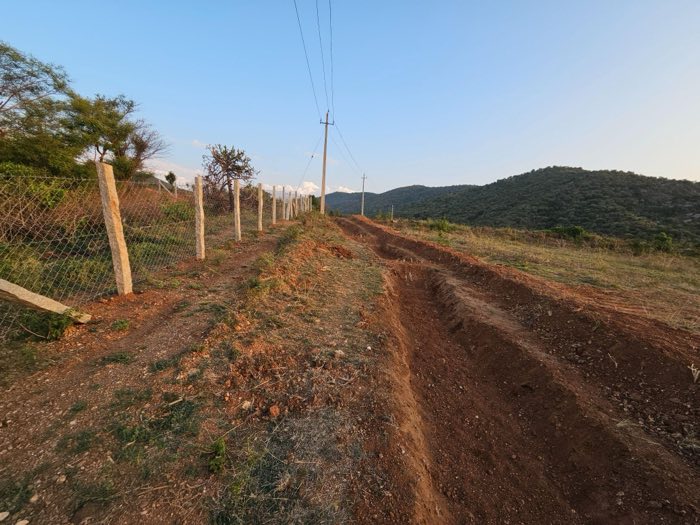 Bioswale on contour with hills in the background
