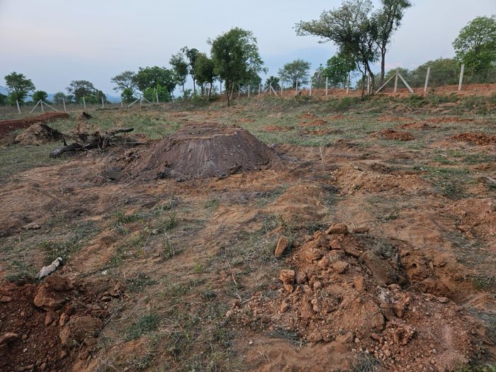 Wild zone pit with soil mound at dusk
